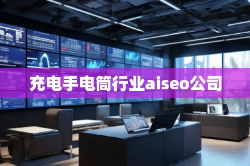充電手電筒行業aiseo公司