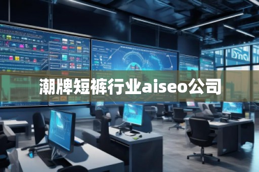 潮牌短褲行業aiseo公司