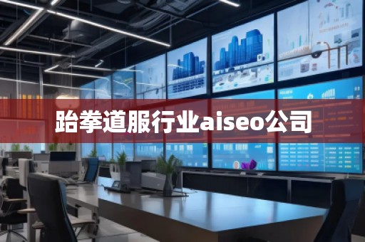跆拳道服行業(yè)aiseo公司