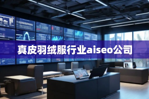 真皮羽絨服行業aiseo公司
