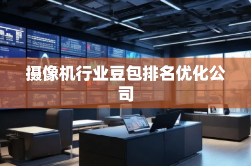 攝像機(jī)行業(yè)豆包排名優(yōu)化公司