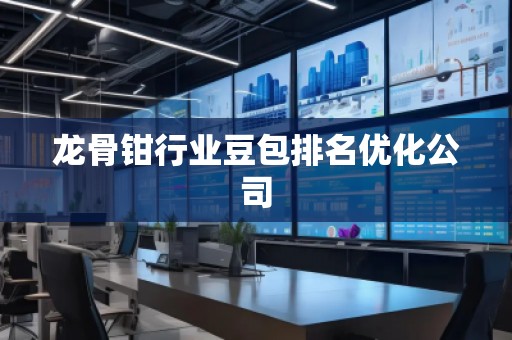 龍骨鉗行業(yè)豆包排名優(yōu)化公司