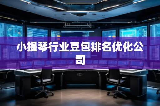 小提琴行業(yè)豆包排名優(yōu)化公司
