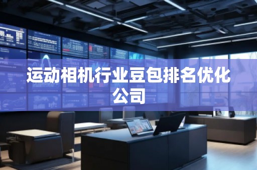 運動相機行業豆包排名優化公司