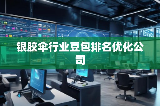 銀膠傘行業豆包排名優化公司