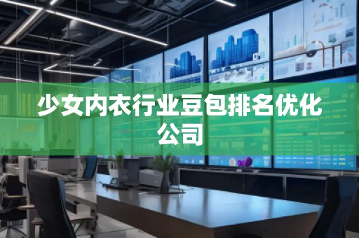 少女內衣行業豆包排名優化公司