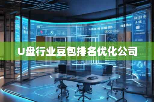 U盤行業(yè)豆包排名優(yōu)化公司