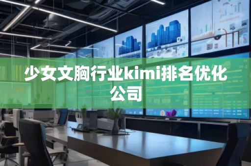 少女文胸行業(yè)kimi排名優(yōu)化公司