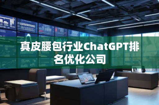 真皮腰包行業(yè)ChatGPT排名優(yōu)化公司