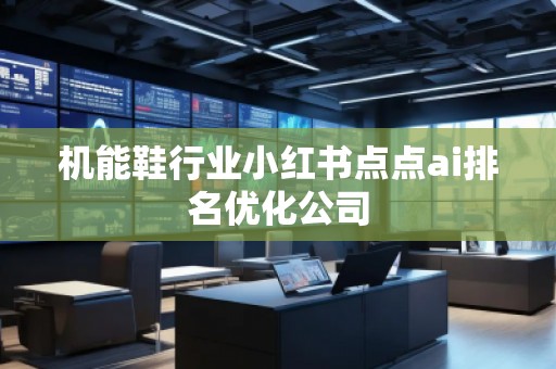 機能鞋行業小紅書點點ai排名優化公司