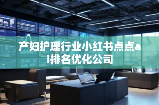產(chǎn)婦護(hù)理行業(yè)小紅書點點ai排名優(yōu)化公司