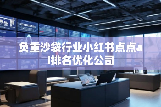 負重沙袋行業小紅書點點ai排名優化公司