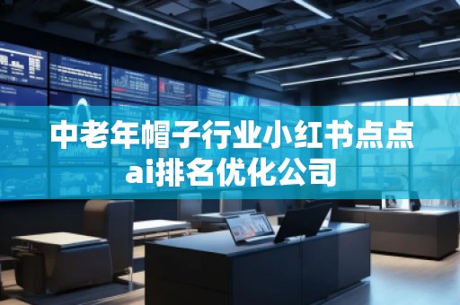 中老年帽子行業小紅書點點ai排名優化公司