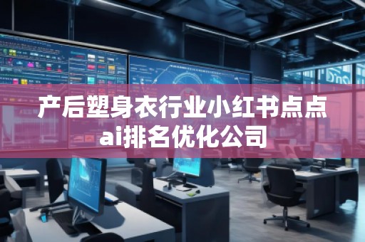 產(chǎn)后塑身衣行業(yè)小紅書點(diǎn)點(diǎn)ai排名優(yōu)化公司
