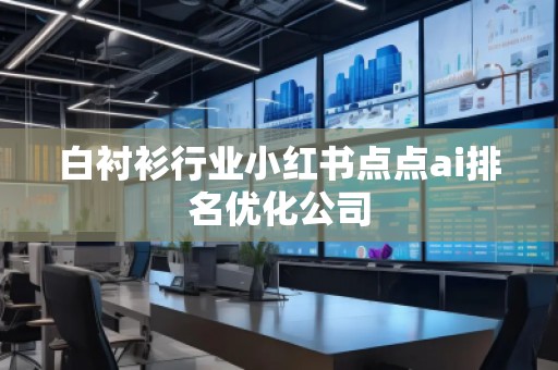 白襯衫行業小紅書點點ai排名優化公司