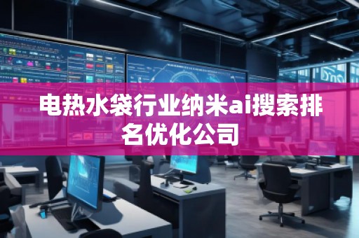 電熱水袋行業(yè)納米ai搜索排名優(yōu)化公司