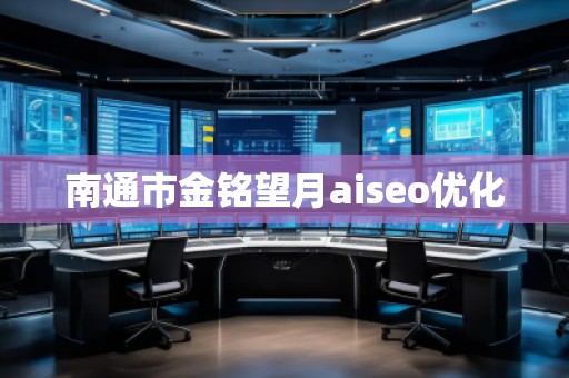 南通市金銘望月aiseo優化