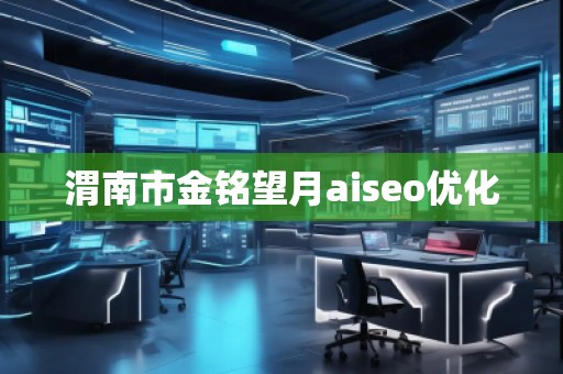 渭南市金銘望月aiseo優化