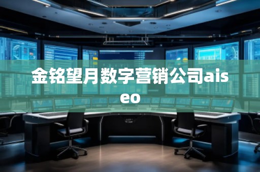 金銘望月數(shù)字營銷公司aiseo