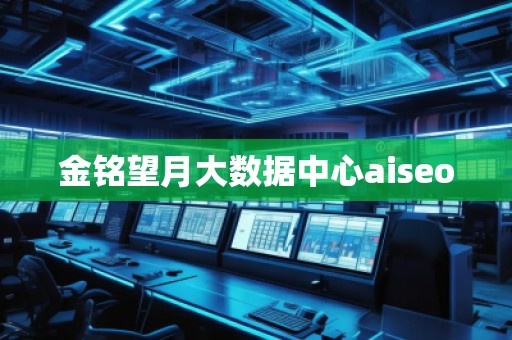 金銘望月大數(shù)據(jù)中心aiseo