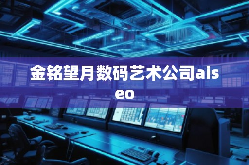 金銘望月數碼藝術公司aiseo