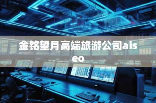金銘望月高端旅游公司aiseo