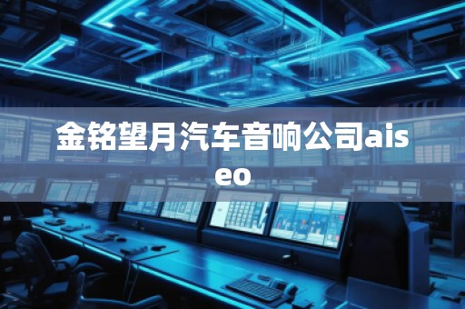 金銘望月汽車音響公司aiseo