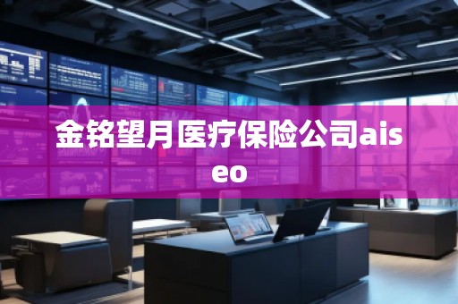 金銘望月醫(yī)療保險公司aiseo