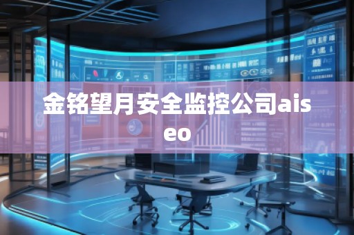 金銘望月安全監控公司aiseo