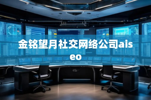 金銘望月社交網絡公司aiseo