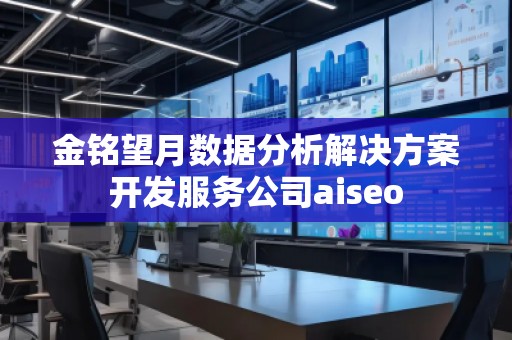 金銘望月數(shù)據(jù)分析解決方案開發(fā)服務(wù)公司aiseo
