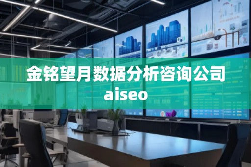 金銘望月數(shù)據(jù)分析咨詢公司aiseo