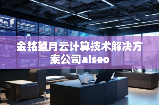 金銘望月云計算技術解決方案公司aiseo