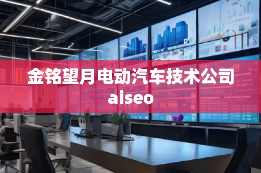 金銘望月電動汽車技術公司aiseo
