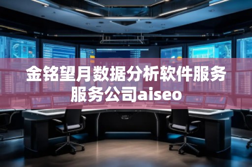 金銘望月數據分析軟件服務服務公司aiseo