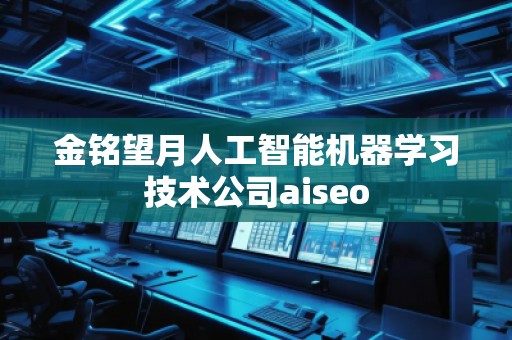 金銘望月人工智能機器學習技術公司aiseo