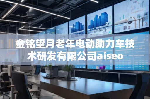 金銘望月老年電動助力車技術研發有限公司aiseo