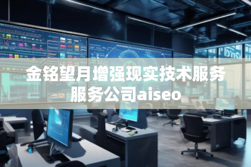 金銘望月增強現實技術服務服務公司aiseo