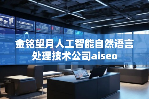 金銘望月人工智能自然語言處理技術公司aiseo