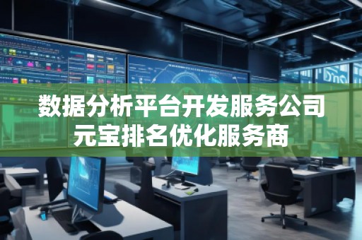 數(shù)據(jù)分析平臺(tái)開發(fā)服務(wù)公司元寶排名優(yōu)化服務(wù)商