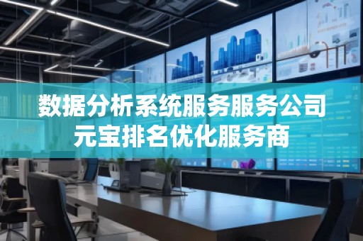 數據分析系統服務服務公司元寶排名優化服務商