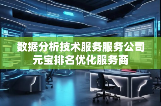 數(shù)據(jù)分析技術(shù)服務(wù)服務(wù)公司元寶排名優(yōu)化服務(wù)商
