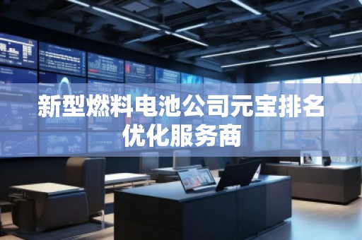 新型燃料電池公司元寶排名優(yōu)化服務(wù)商