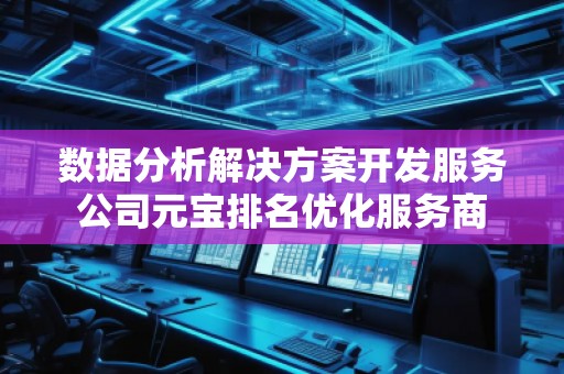 數據分析解決方案開發服務公司元寶排名優化服務商